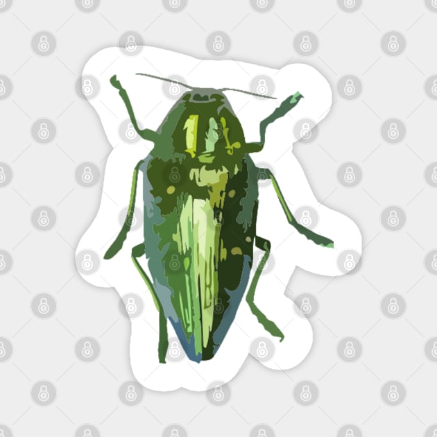 Jewel Beetle Digital Painting Magnet by gktb