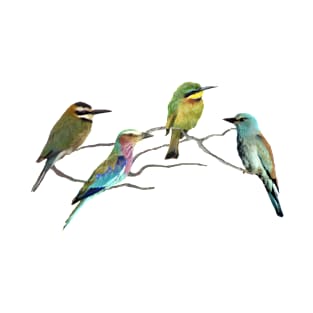 Bee-eater + Roller - Birds in Africa T-Shirt