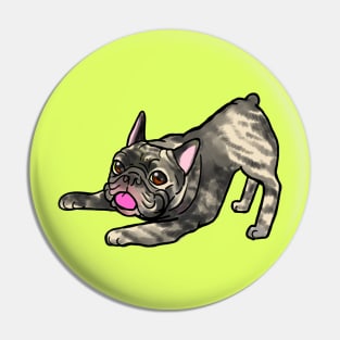 Puppy pose Pin