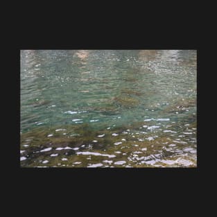 Shallow Ocean Water, Sea Weed, Nature Photography T-Shirt