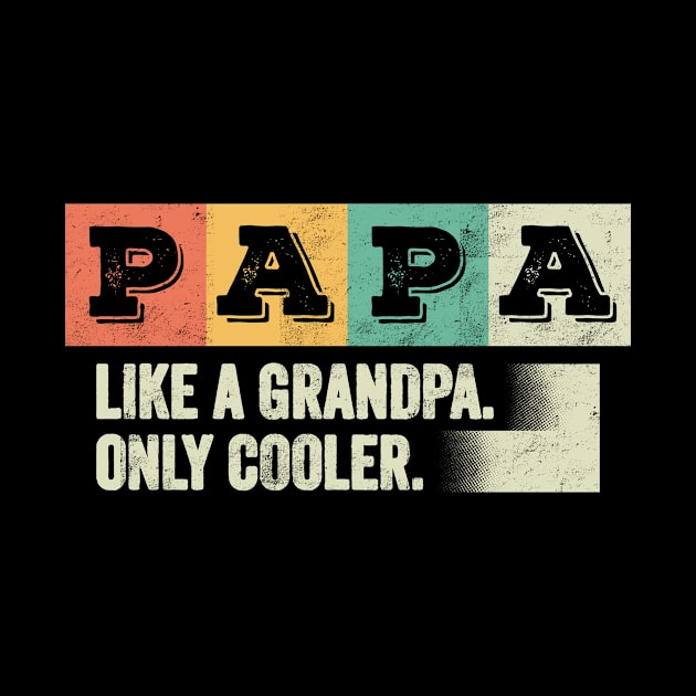 PAPA - like a grandpa only cooler Vintage by CreativeSalek