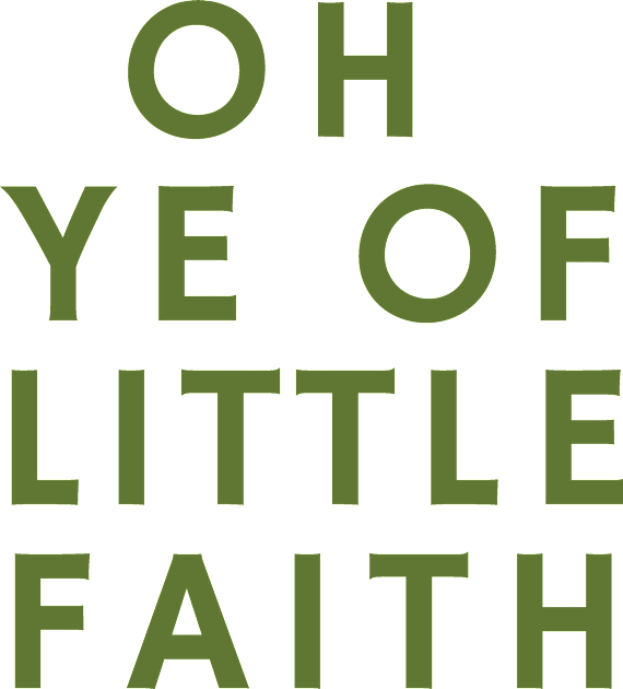 O Ye of Little Faith Kids T-Shirt by calebfaires