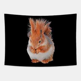 Squirrel - Woodland Themed Kids Room, Funny Gifts For Forester, Cute Animals Tapestry