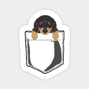 Pocket Dachshund Magnet