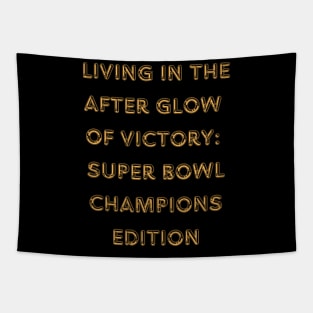 Super Bowl Champions 2024 Victory Design Tapestry