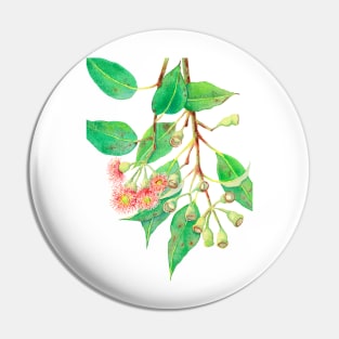 Eucalyptus branch with red flowers Pin