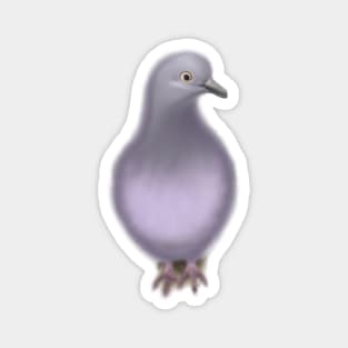 Cute Dove Drawing Magnet