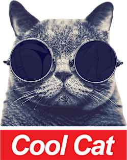 Cool Cat - Box Logo Magnet