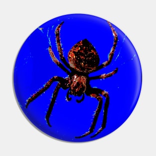 Spider in the Sky! Pin