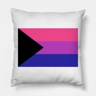 Demi-Bisexual Pride Flag Pillow