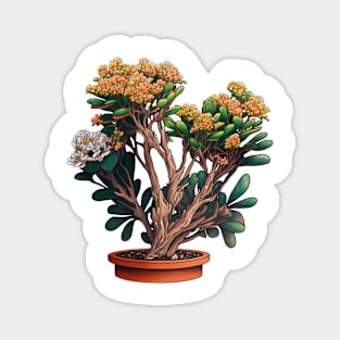 Kalanchoe Bonsai Magnet