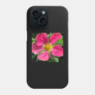 Pink Summer Rose Phone Case