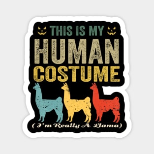 This is my human costume i'm really a llama funny halloween Magnet