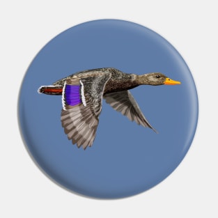 Mallard duck hen Pin