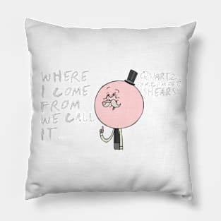 Where I come from... Pillow