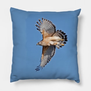 Red-Shouldered Hawk Pillow