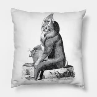 Monkey Vintage Pillow