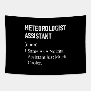 Meteorology Job Title Profession Worker Tapestry