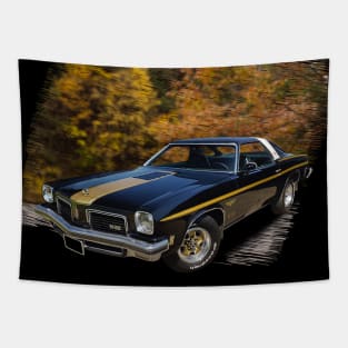 1974 Hurst Olds 442 in our fall day series on back Tapestry