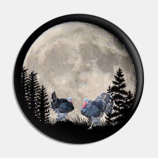 Romantic turkey with bat at night in the moonlight Pin