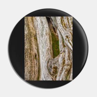 The bark of old trees Pin