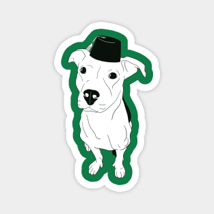 Pitbull with Fez Magnet