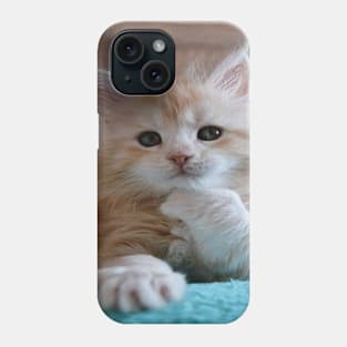 What Happened cat Phone Case