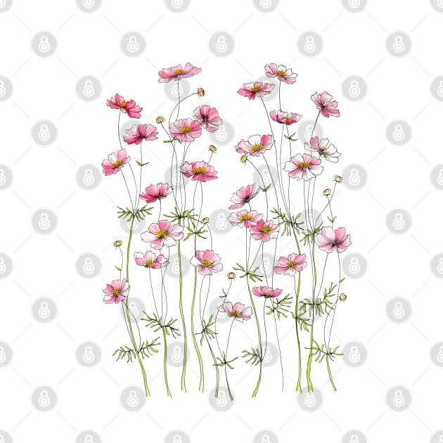 Pink Cosmos Flowers, Illustration by JessicaRose