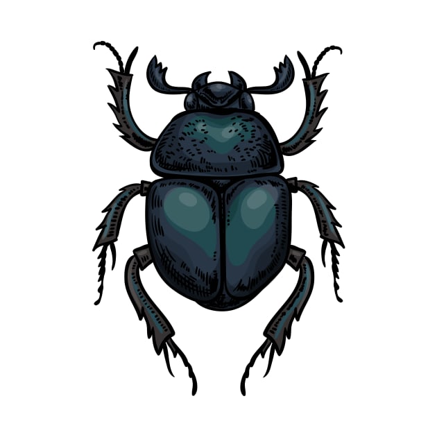 Dung beetle by katerinamk