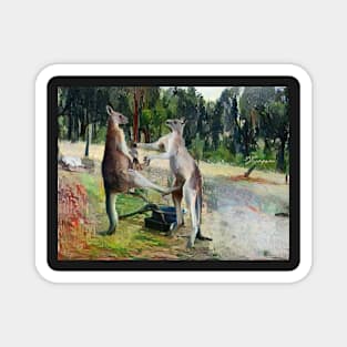 Alpha male kangaroos dance Magnet