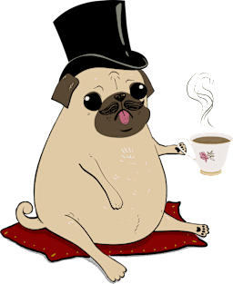 Sir Pugsley, The Gentleman Pug Magnet