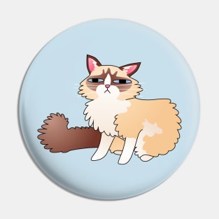 Slightly Suspicious Ragdoll Cat Pin