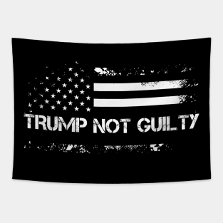 Trump Not Guilty, We Are Trump. Tapestry