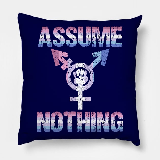 ASSUME NOTHING - Bi Gender Pride Pillow by ArtsyTshirts