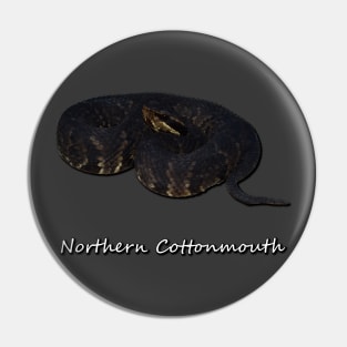 Northern Cottonmouth Pin