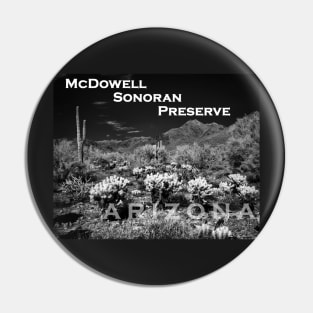 McDowell Sonoran Preserve, Scotsdale Arizona Pin