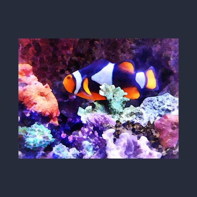 Fish - Clownfish and Coral by SusanSavad