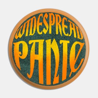 Widespread Panic denim and paint design Pin