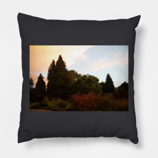 Colour in the Gloaming Pillow by Floribunda