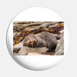 Resting Seal Pin