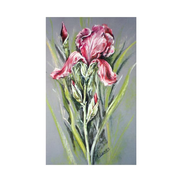 Best of Pink Iris, Pastel by ShiningLightGallery