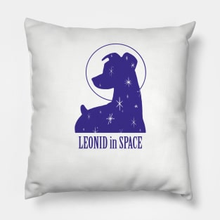 Leonid in Space Pillow