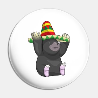 Mole Mexican Hat Pin