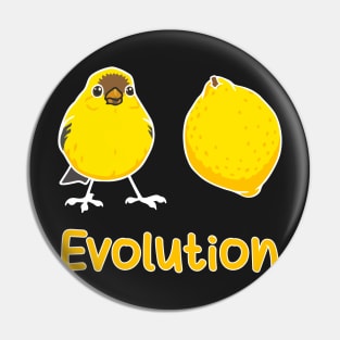 Convergent Evolution of a Brid into a Lemon. Science Pun Pin