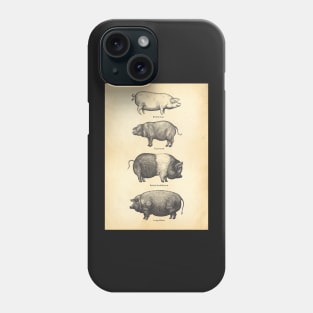 4 pigs Phone Case