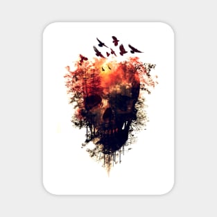 Skull Double Exposure Magnet