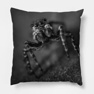 Scurry, Macro Jumping Spider Black and White Photo Pillow