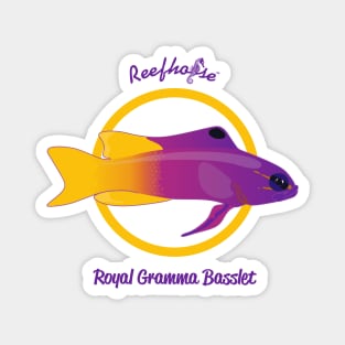 Royal Gramma Basslet Magnet