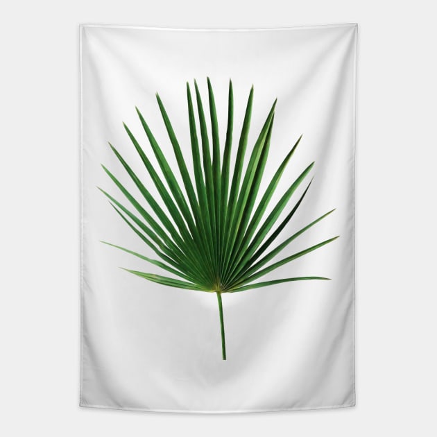 Simple Palm Leaf Geometry Tapestry by micklyn