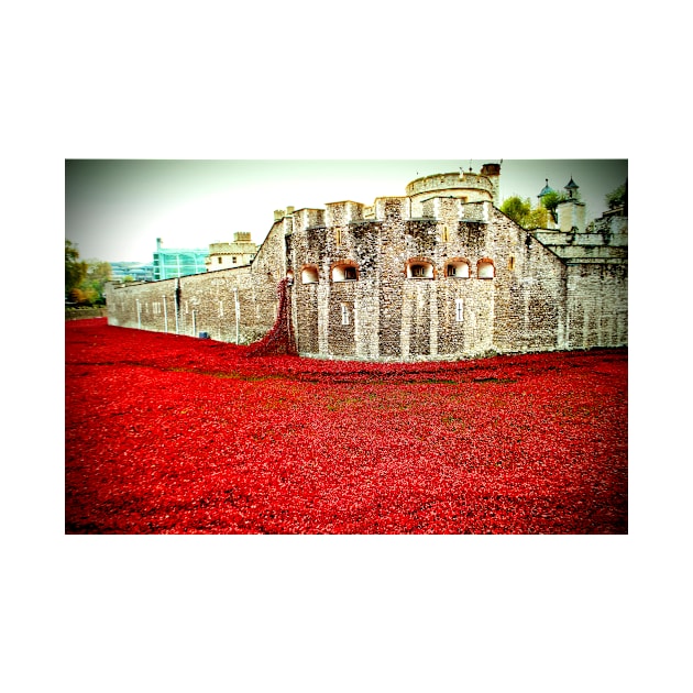 Tower of London Red Poppies by AndyEvansPhotos